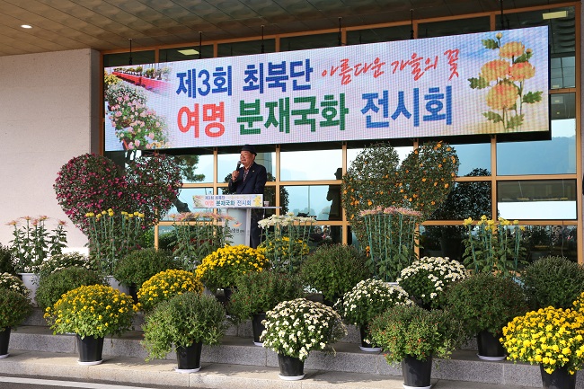 강원철원-향토기업「그래미」분재 국화 전시회 성황