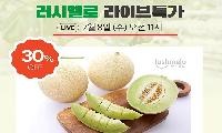 강원철원-Made in 철원 멜론 『러시멜로』 특별할인